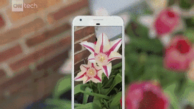 tech 手机 拍照 屏幕 鲜花 自动剪辑
