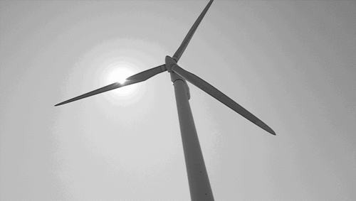 风力发电 土地 黑白 照片