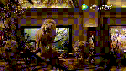 狮子 绿叶 奔跑 短发