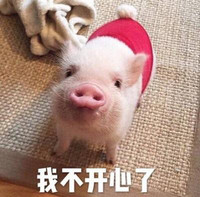 萌宠 小猪 我不开心了 难受 呆萌 可爱