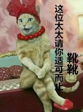 猫咪 喵星人 搞笑 这位太太请你适可而止 靴靴 斗图 讯飞