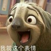 树懒 瞪大眼 好慢 我就这个表情