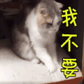soogif soogif出品 猫 我不要