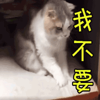 soogif soogif出品 猫 我不要