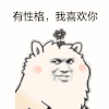 喜欢你 逗比 插花 有性格我喜欢你