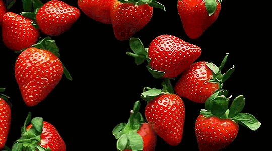 草莓 红色 漂亮