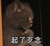 萌宠 猫星人 起了歹念 搞怪 逗