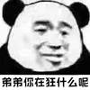 暴漫 熊猫人 弟弟 弟弟你在狂什么 斗图