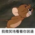 猫和老鼠 杰瑞 可爱 呆萌 搞笑 斗图 我微笑地看着你装逼