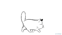 猫咪 坐着 可爱 睡觉