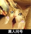 猫咪 星星眼 吃惊 黑人问号