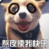 狗 汪星人 熬夜使我快乐 开心 soogif soogif出品
