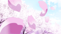 花瓣 蓝天 落花 大树