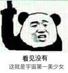 熊猫头 呆萌 斗图 搞笑 雷人 看见没有这就是宇宙第一美少女