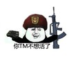 你TM不想活了 斗图 滑稽 搞笑