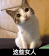 这些女人 猫咪 歪头 可爱
