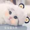 萌宠 喵星人 宝宝歪头杀 看着你 呆萌 可爱