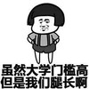 虽然大学门槛高 但是我们的腿长啊 恶搞 大长腿
