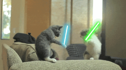 猫咪 打架 光剑 沙发