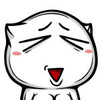 猥琐 猫 恶搞 不好意思