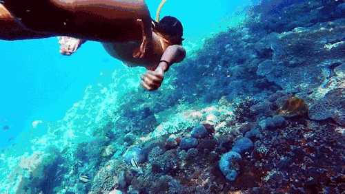 潜水 海底 大屁股 珊瑚