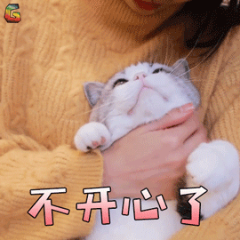 萌寵 貓 不開(kāi)心了 生氣 soogif soogif出品