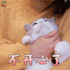 萌宠 猫 不开心了 生气 soogif soogif出品