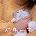 萌宠 猫 不开心了 生气 soogif soogif出品