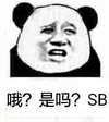 傻逼 逗比 微笑 哦是吗sb
