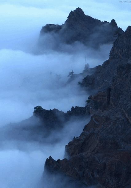 雾 mist nature 山雾 风 云海 美景 自然 风光