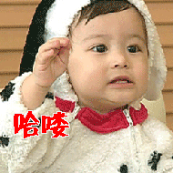 halou 哈喽
