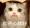 萌宠 猫星人 你开心就好 盯着你 搞怪 逗