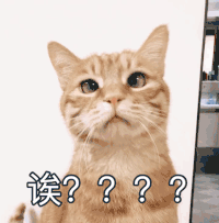 萌宠 猫星人 诶 惊讶 呆萌 可爱