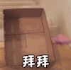 萌宠 狗狗 有头脑 拜拜