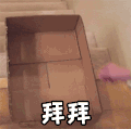萌宠 狗狗 有头脑 拜拜