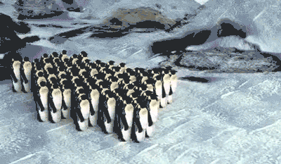 企鹅 penguin 鬼畜 平移
