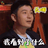 幻乐之城 天哪 我看到了什么 黄晓明 soogif soogif出品
