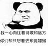 我一心向往着诗歌和远方 你们却只想着去东莞嫖娼 酒杯 熊猫人