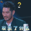 战斗吧萌犬 高以翔 蒙圈 发生了什么 soogif soogif出品