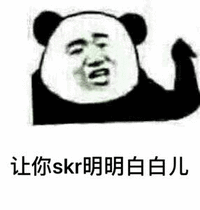 skr 让你skr明明白白