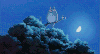 猫头鹰 月亮 树枝 星空