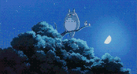 猫头鹰 月亮 树枝 星空