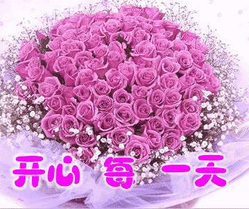 玫瑰花 粉色 花束 开心每一天