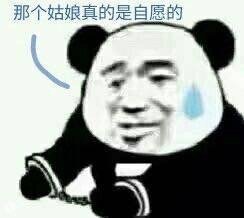流浪地球 搞笑 文字表情包 电影 熊猫头