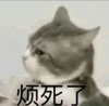 萌宠 喵星人 烦死了 不开心 搞怪 逗