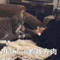 搞笑 萌宠 猫 喵星人 王者荣耀