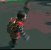 宋民国 咕咕 可爱 奔跑