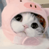 萌宠 猫星人 wink 爱你 搞怪 逗