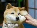 狗狗 可爱 呆萌 斗图 你在略啊