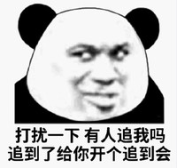 熊猫头 文字表情包 打扰一下有人追我吗追到了给你开个追到会 魔性 沙雕 搞怪